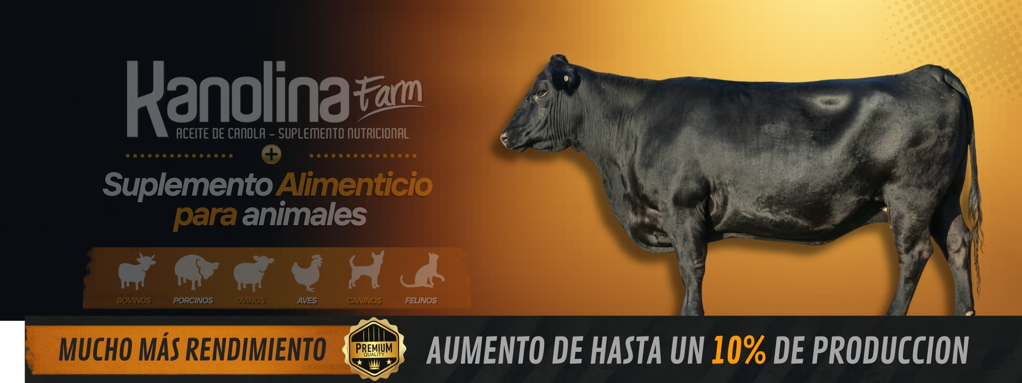 Toro Angus de perfil en diseño institucional de Kanolina Farm